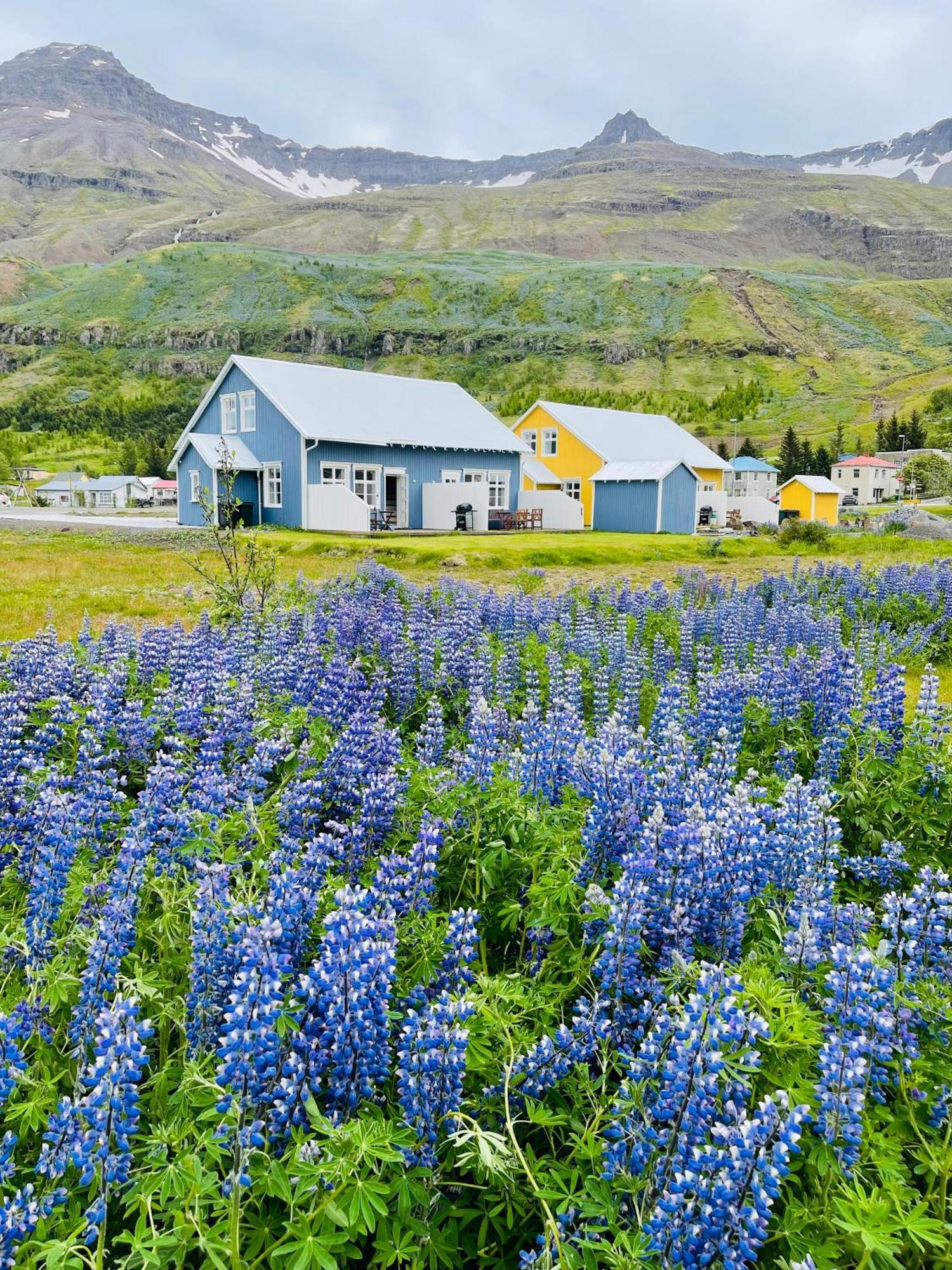 Lónsleira Apartments Seyðisfjörður Exterior foto
